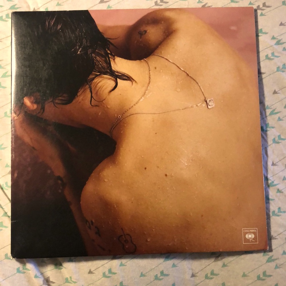 Harry Styles vinyl ( come with a book with the lyrics which contain photos)